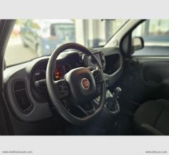 Auto - Fiat panda cross 1.0 firefly s&s hybrid