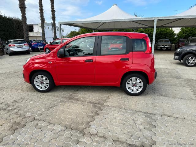 Auto - Fiat panda 1.2 lounge