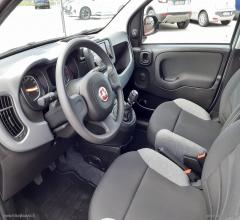 Auto - Fiat panda 1.0 firefly s&s hybrid city life