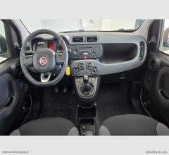 Auto - Fiat panda 1.2 easypower easy