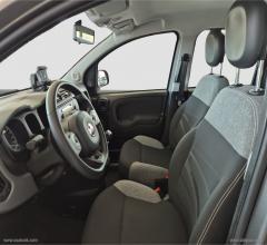 Auto - Fiat panda 1.0 firefly s&s hybrid city life