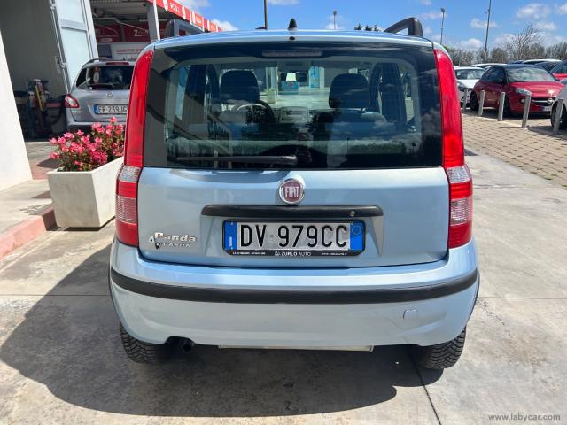 Auto - Fiat panda 1.2 dynamic natural power