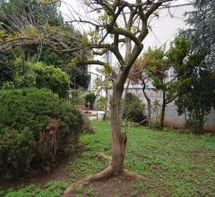 Appartamenti in Vendita - Villa in vendita a modugno carabinieri