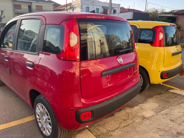Auto - Fiat panda 1.0 firefly s&s hybrid pandina
