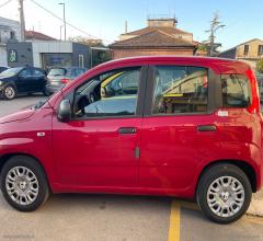 Auto - Fiat panda 1.0 firefly s&s hybrid pandina