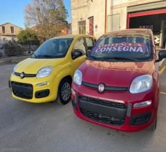 Auto - Fiat panda 1.0 firefly s&s hybrid pandina