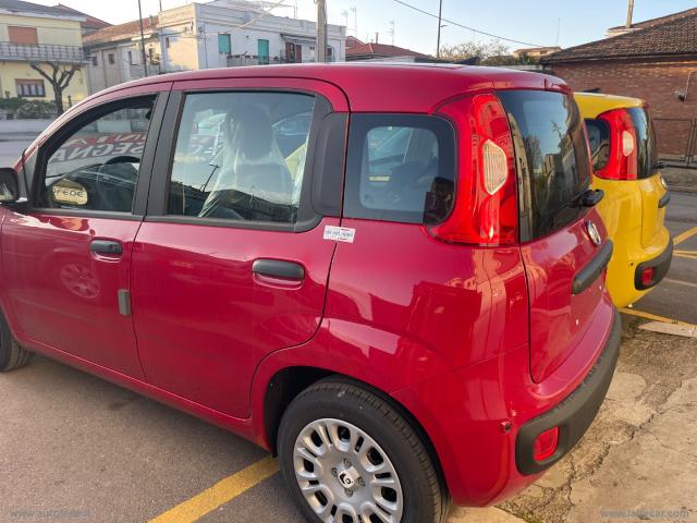 Auto - Fiat panda 1.0 firefly s&s hybrid pandina