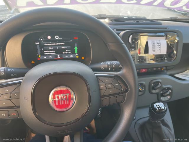 Auto - Fiat panda 1.0 firefly s&s hybrid pandina