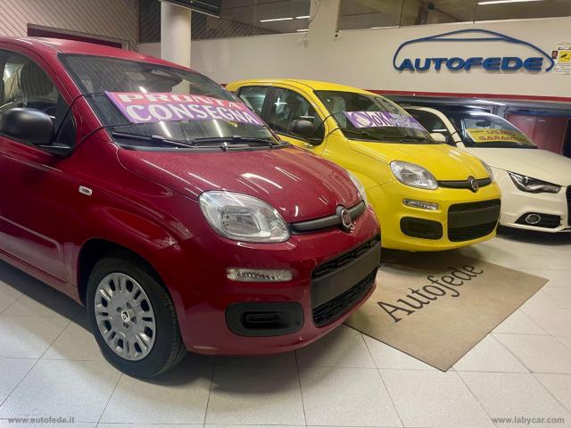 Fiat panda 1.0 firefly s&s hybrid pandina