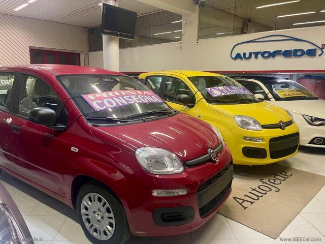 Auto - Fiat panda 1.0 firefly s&s hybrid pandina