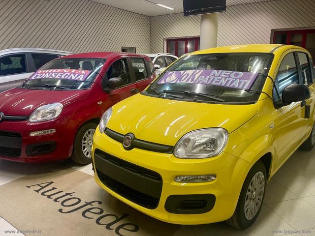 Auto - Fiat panda 1.0 firefly s&s hybrid pandina