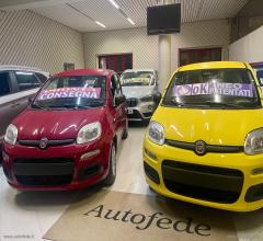 Auto - Fiat panda 1.0 firefly s&s hybrid pandina