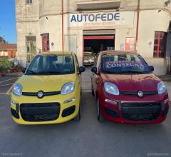 Auto - Fiat panda 1.0 firefly s&s hybrid pandina