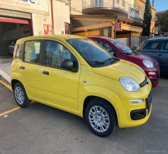 Auto - Fiat panda 1.0 firefly s&s hybrid pandina
