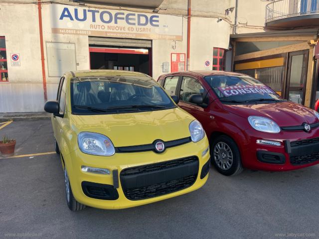 Auto - Fiat panda 1.0 firefly s&s hybrid pandina