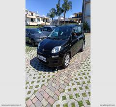 Auto - Fiat panda 1.2 easypower easy