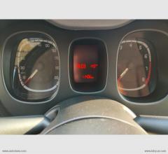 Auto - Fiat panda 1.0 firefly s&s hybrid city cross