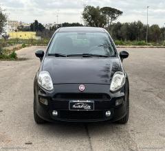 Auto - Fiat punto 1.2 8v 5p. street