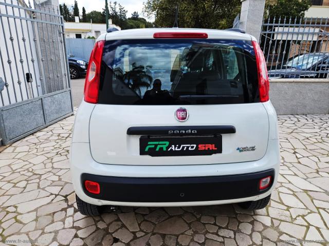 Auto - Fiat panda 0.9 twinair turbo nat. pow. lounge
