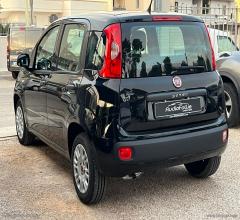 Auto - Fiat panda 1.2 easy