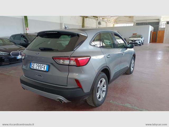 Auto - Ford kuga 1.5 ecoblue 120 cv aut. 2wd connect