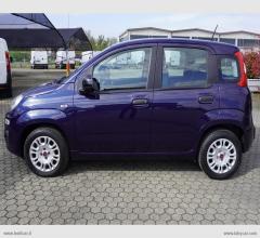 Auto - Fiat panda 1.2 easy