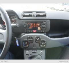 Auto - Fiat panda 1.2 easy