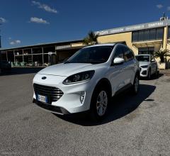Auto - Ford kuga 1.5 ecoblue 120 cv aut. 2wd tit.bus