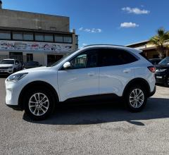 Auto - Ford kuga 1.5 ecoblue 120 cv aut. 2wd tit.bus