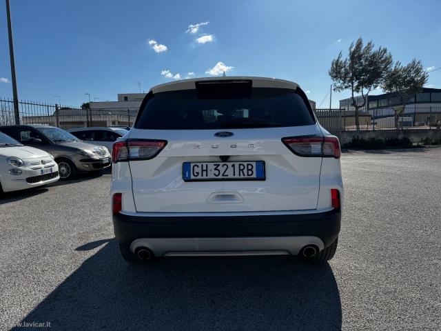 Auto - Ford kuga 1.5 ecoblue 120 cv aut. 2wd tit.bus