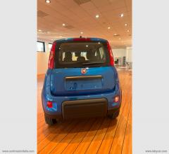 Auto - Fiat panda 1.0 firefly s&s hybrid pandina
