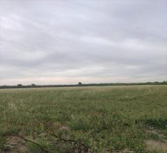 Terreno agricolo in vendita a cerignola strada  via candela