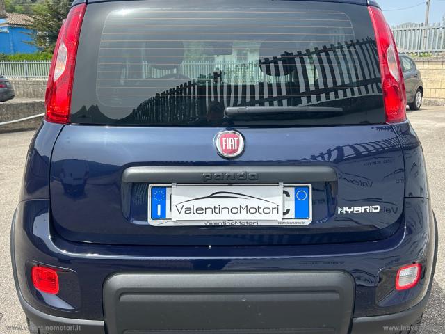 Auto - Fiat panda 1.0 firefly s&s hybrid city life