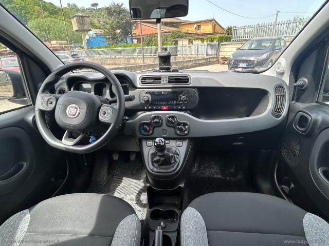 Auto - Fiat panda 1.0 firefly s&s hybrid city life