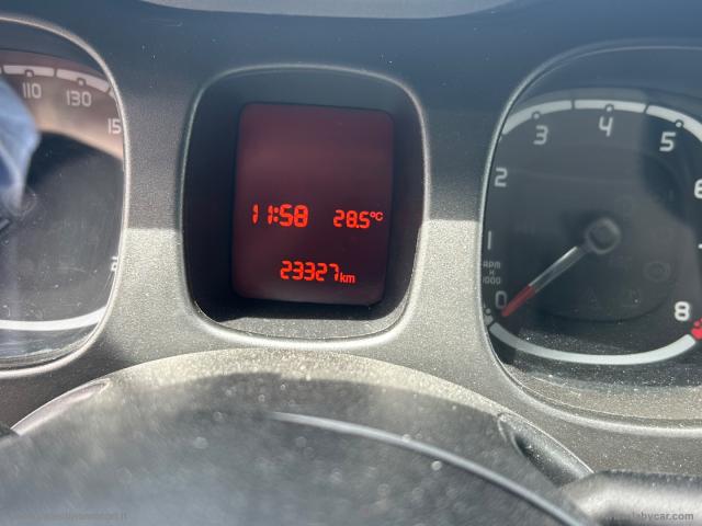 Auto - Fiat panda 1.0 firefly s&s hybrid city life