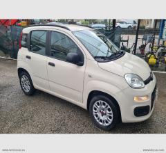 Auto - Fiat panda 1.2 lounge