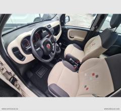 Auto - Fiat panda 1.2 lounge