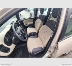 Auto - Fiat panda 1.2 lounge