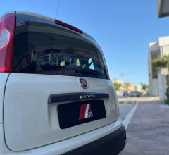 Auto - Fiat panda 1.2 lounge