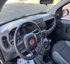 Auto - Fiat panda 1.2 lounge
