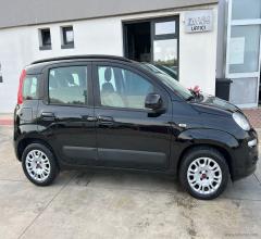 Auto - Fiat panda 1.2 lounge