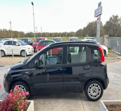 Auto - Fiat panda 1.2 lounge