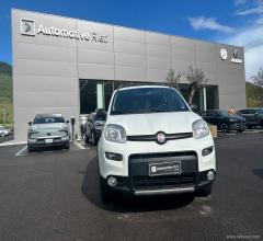 Auto - Fiat panda 1.3 mjt s&s 4x4