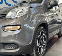 Auto - Fiat panda 1.0 firefly s&s hybrid city life