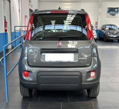 Auto - Fiat panda 1.0 firefly s&s hybrid city life
