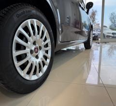 Auto - Fiat punto 1.4 8v 5p. easypower street
