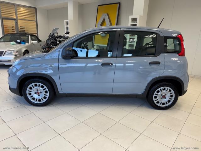 Auto - Fiat panda 1.0 firefly s&s hybrid city life