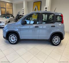 Auto - Fiat panda 1.0 firefly s&s hybrid city life