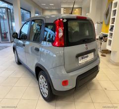 Auto - Fiat panda 1.0 firefly s&s hybrid city life