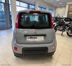 Auto - Fiat panda 1.0 firefly s&s hybrid city life